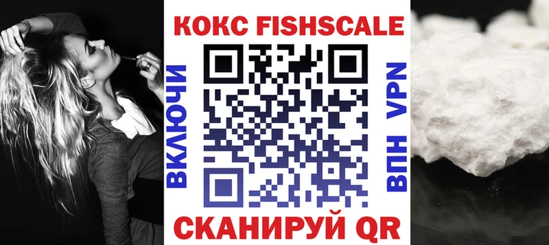 COCAIN Fish Scale  гидра как войти  Строитель 