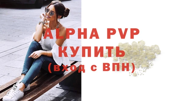 шишки Новокубанск