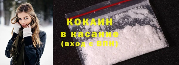 шишки Новокубанск